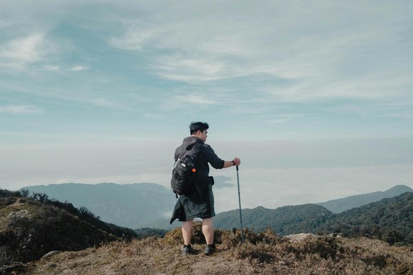 Comment organiser une croisière pour explorer les mangroves au Bangladesh?