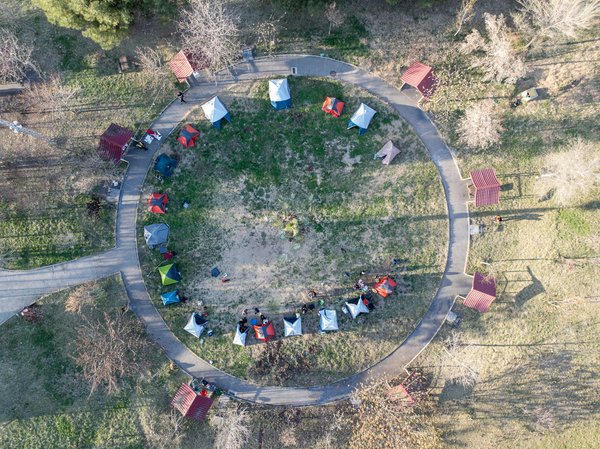 Quelles croisières offrent des ateliers de cuisine japonaise avec des maîtres sushi?