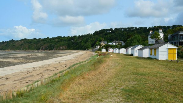 Quels sont les conseils pour une randonnée réussie dans le parc national de Yellowstone, USA ?